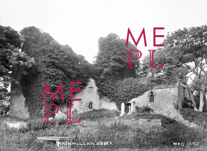 : Rathmullan Abbey : Rathmullan Abbey