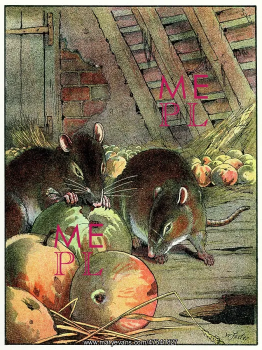  : RATS IN THE BARN C1910