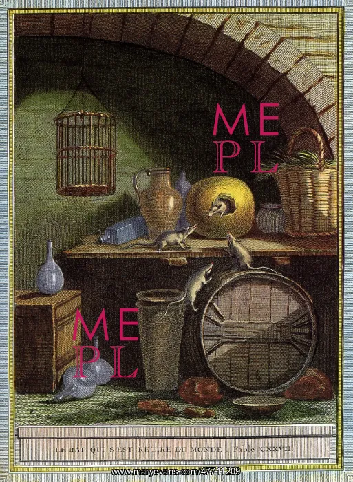  : Rats on a Shelf