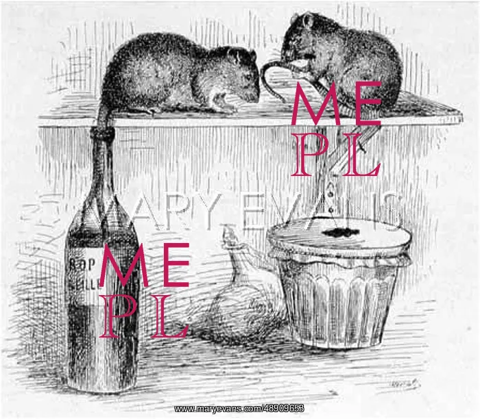  : RATS  /  SYRUP & JAM 1904