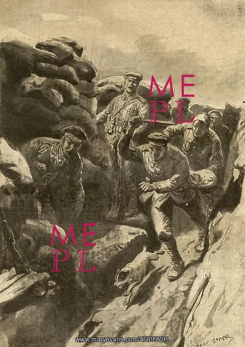 : Ratting in the trenches, WWI : Ratting in the trenches, WWI