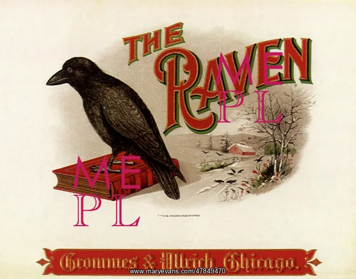  : The Raven