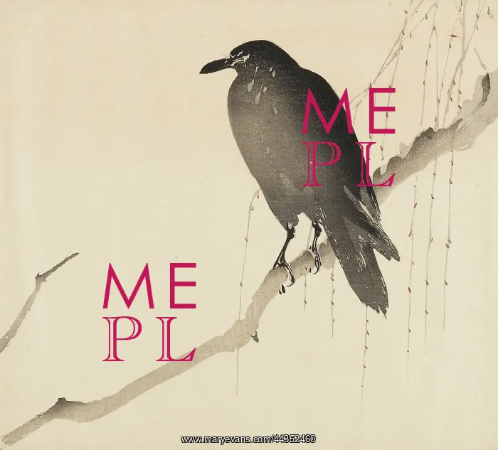 : Raven on a branch : Raven on a branch