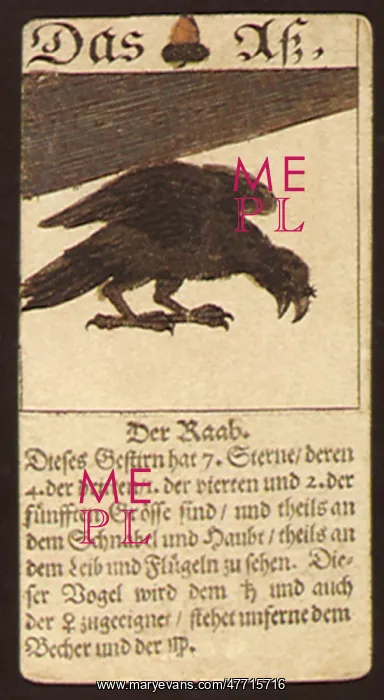  : Raven Playing Card