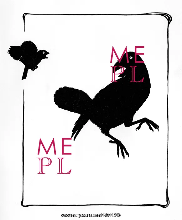 : The raven refuses to help Jack Sparrow : The raven refuses to help Jack Sparrow