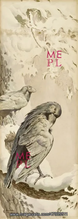 : Two Ravens on a snowy perch : Two Ravens on a snowy perch