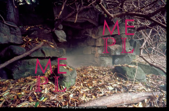 : Ravenscroft (Cleddon Hall), cave in garden : Ravenscroft (Cleddon Hall), cave in garden