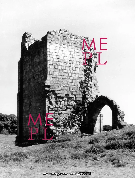 : RAVENSWORTH CASTLE : RAVENSWORTH CASTLE