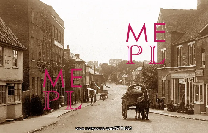 : Rayleigh High Street early 1900's : Rayleigh High Street early 1900's