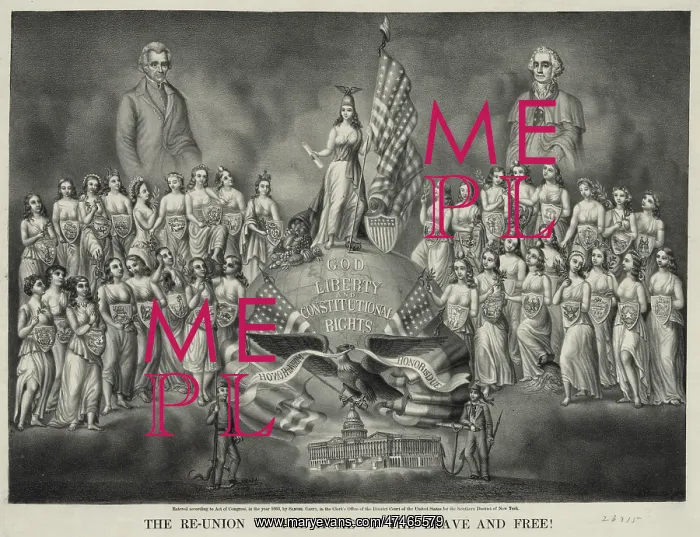 : The re-union of the home of the brave and free! : The re-union of the home of the brave and free!