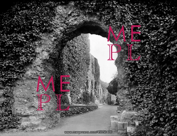 : Reading Abbey : Reading Abbey