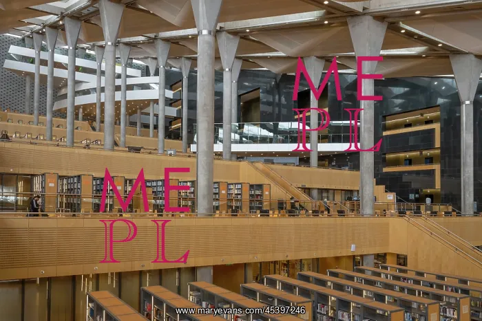 : Reading Room, Bibliotheca Alexandrina, Alexandria, Egypt : Reading Room, Bibliotheca Alexandrina, Alexandria, Egypt