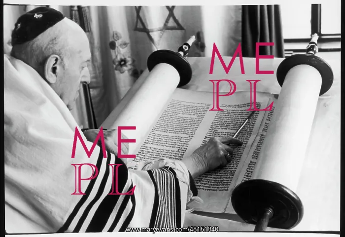 : READING THE TORAH : READING THE TORAH