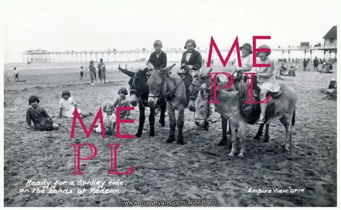 : Ready for Donkey Ride on the Sands of Redcar Beach : Ready for Donkey Ride on the Sands of Redcar Beach