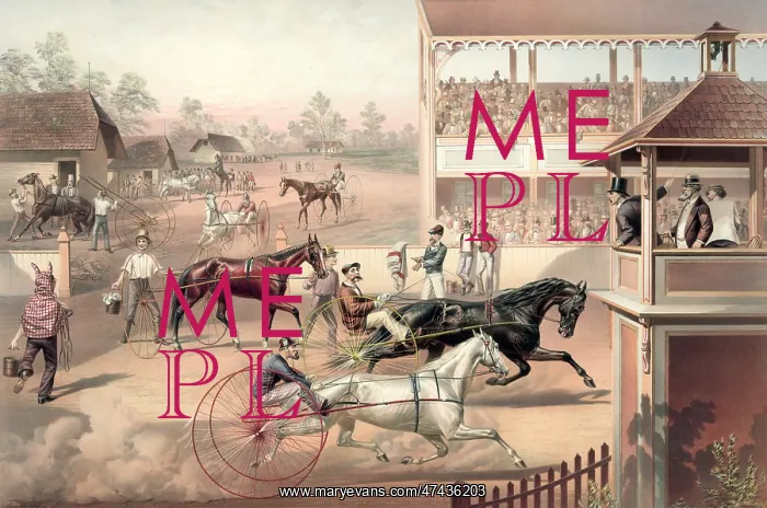 : Ready for the trot: bring up your horse! : Ready for the trot: bring up your horse!