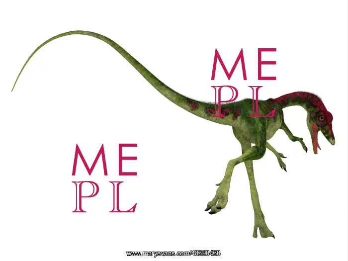 : Rear view of Compsognathus dinosaur : Rear view of Compsognathus dinosaur
