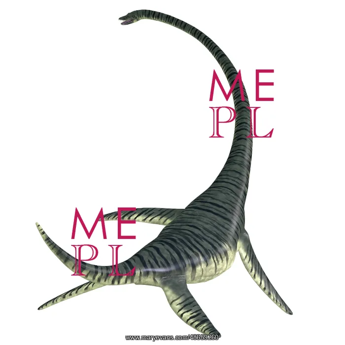 : Rear view of an Elasmosaurus aquatic reptile : Rear view of an Elasmosaurus aquatic reptile