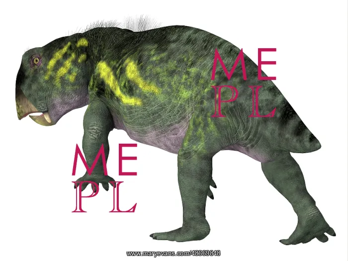 : Rear view of a Lystrosaurus dinosaur on white background : Rear view of a Lystrosaurus dinosaur on white background