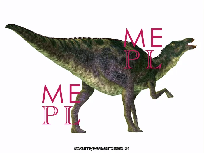 : Rear view of a Maiasaura dinosaur on white background : Rear view of a Maiasaura dinosaur on white background