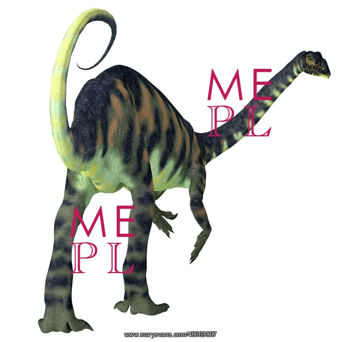 : Rear view of a Massospondylus dinosaur : Rear view of a Massospondylus dinosaur