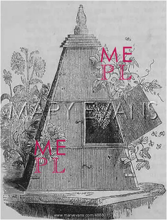  : REAUMUR'S BEEHIVE