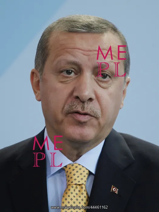 : Recep Tayyip Erdogan : Recep Tayyip Erdogan