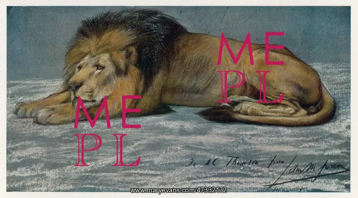 : RECLINING LION : RECLINING LION