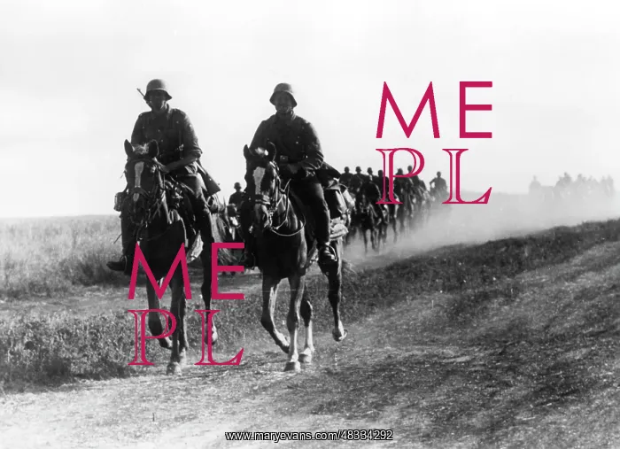 : Reconnaissance unit of the Wehrmacht on the Eastern Front : Reconnaissance unit of the Wehrmacht on the Eastern Front