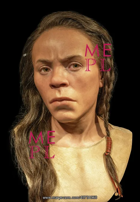 : Reconstructed head, Kilmartin Museum, Kilmartin, Scotland : Reconstructed head, Kilmartin Museum, Kilmartin, Scotland