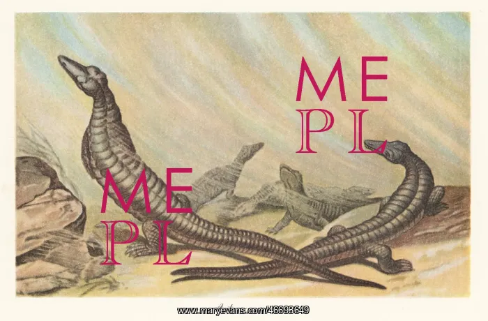 : Reconstruction of Aetosaurus ferratus in a sand storm : Reconstruction of Aetosaurus ferratus in a sand storm