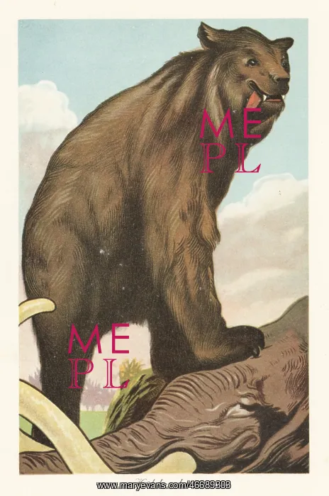 : Reconstruction of a cave cave bear, Ursus spelaeus : Reconstruction of a cave cave bear, Ursus spelaeus