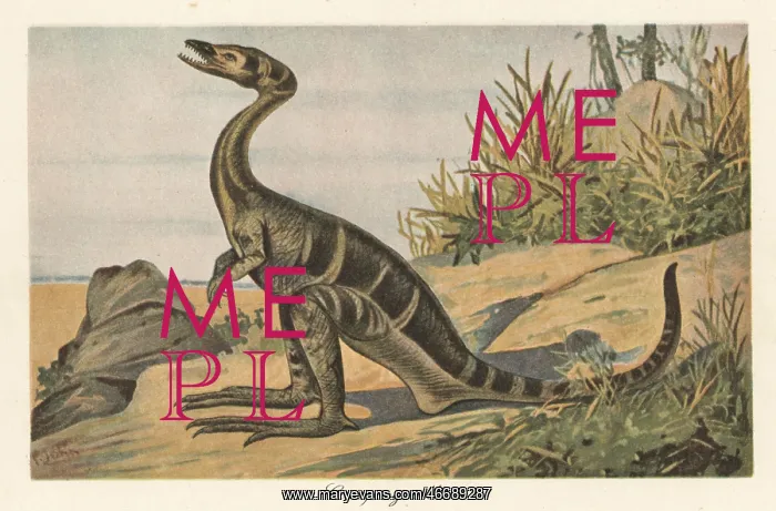  : Reconstruction of a Compsognathus longipes
