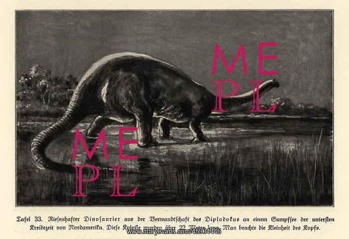 : Reconstruction of a Diplodocus, Lower Cretaceous : Reconstruction of a Diplodocus, Lower Cretaceous