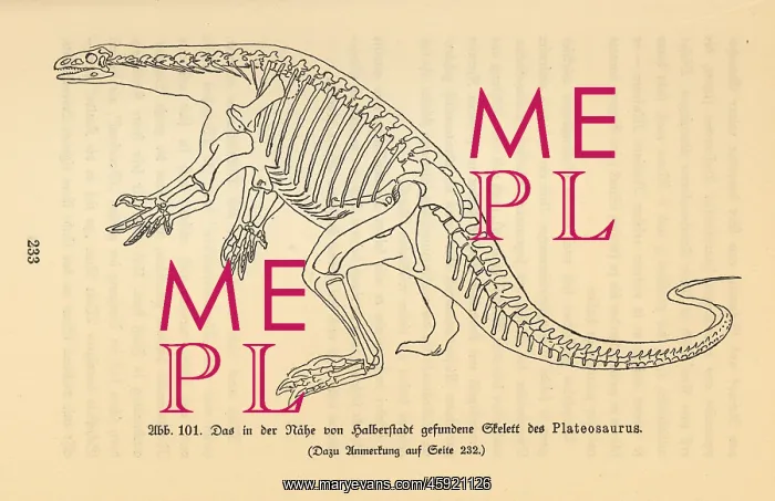 : Reconstruction of an extinct Plateosaurus : Reconstruction of an extinct Plateosaurus