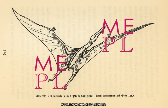 : Reconstruction of an extinct Pterodactyl : Reconstruction of an extinct Pterodactyl