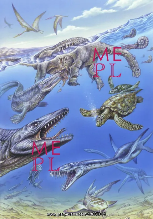 : Reconstruction of the fauna in Lembe's Ocean during : Reconstruction of the fauna in Lembe's Ocean during