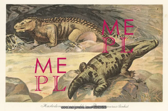 : Reconstruction of a Mastodonsaurus and Pareiasaurus : Reconstruction of a Mastodonsaurus and Pareiasaurus
