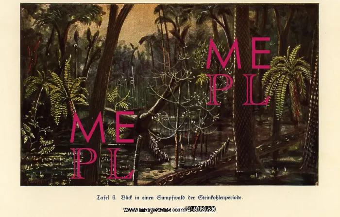 : Reconstruction of a swamp forest in the Carboniferous era : Reconstruction of a swamp forest in the Carboniferous era