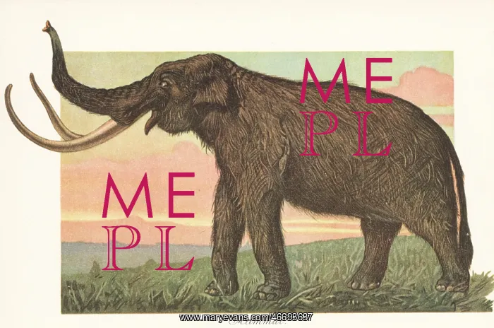 : Reconstruction of a woolly mammoth, Mammuthus primigenius : Reconstruction of a woolly mammoth, Mammuthus primigenius