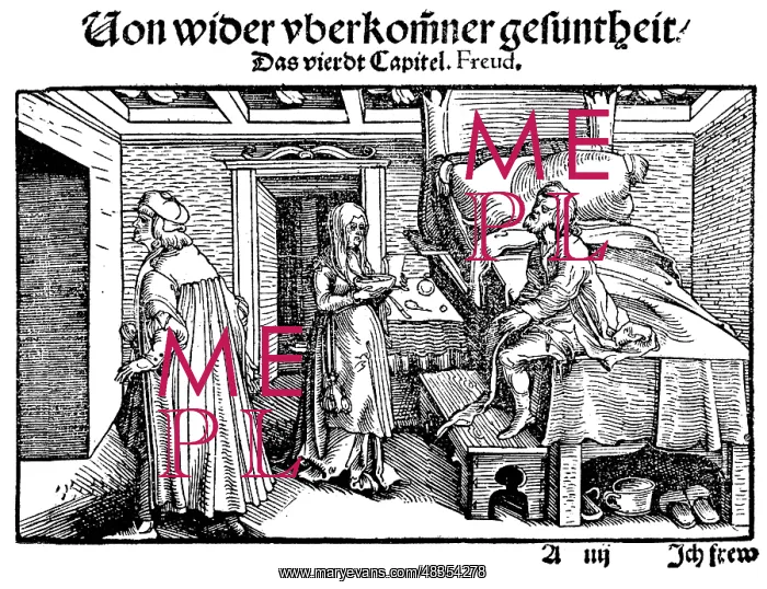 : Recovery of a patient, 16th century : Recovery of a patient, 16th century
