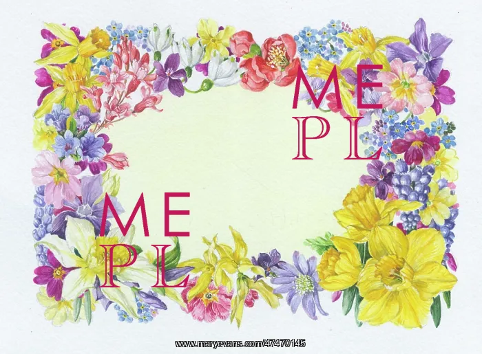 : Rectangular Spring Flower Border : Rectangular Spring Flower Border