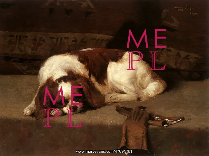  : Recumbent King Charles Spaniel