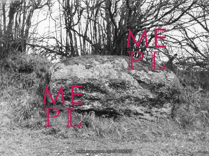 : RECUMBENT MENHIR : RECUMBENT MENHIR