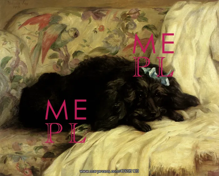 : Recumbent Poodle : Recumbent Poodle