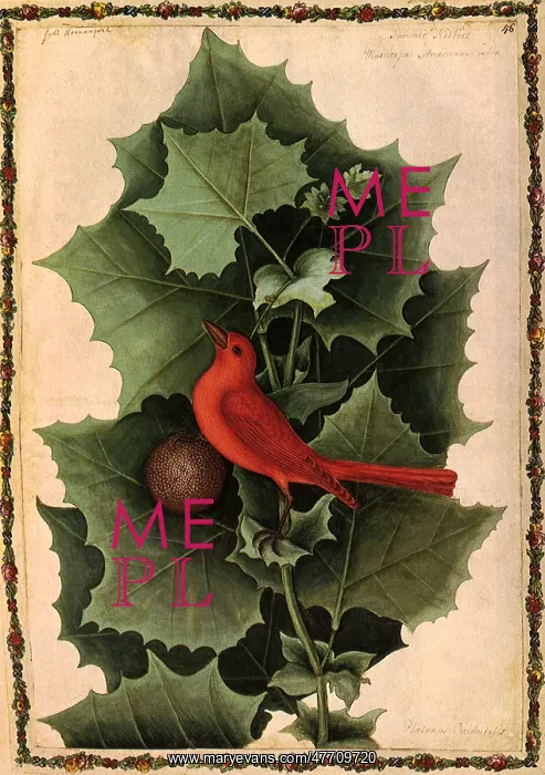 : Red Bird and. Leaves : Red Bird and. Leaves