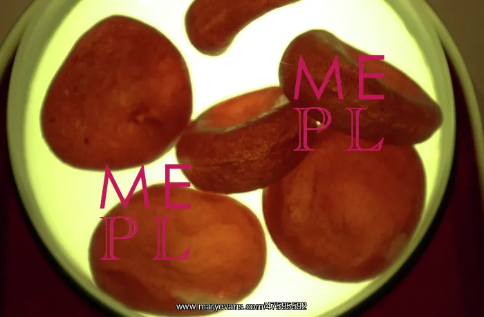 : Red blood cells : Red blood cells