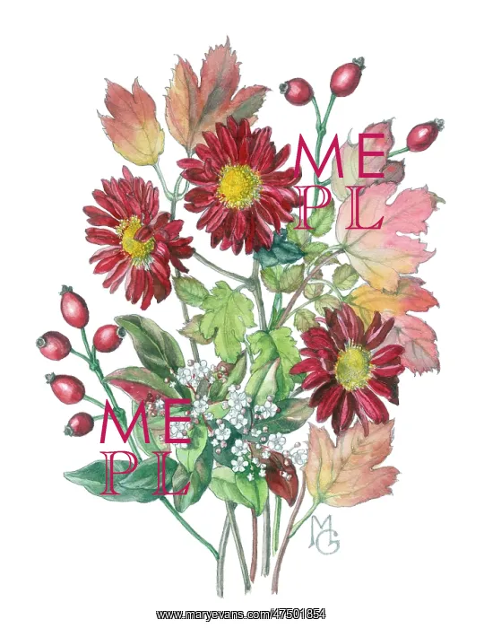 : Red Chrysanthemums and Autumn leaves : Red Chrysanthemums and Autumn leaves
