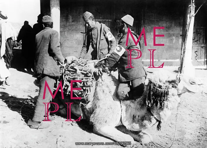 : The Red Crescent during the First World War, 1915 : The Red Crescent during the First World War, 1915