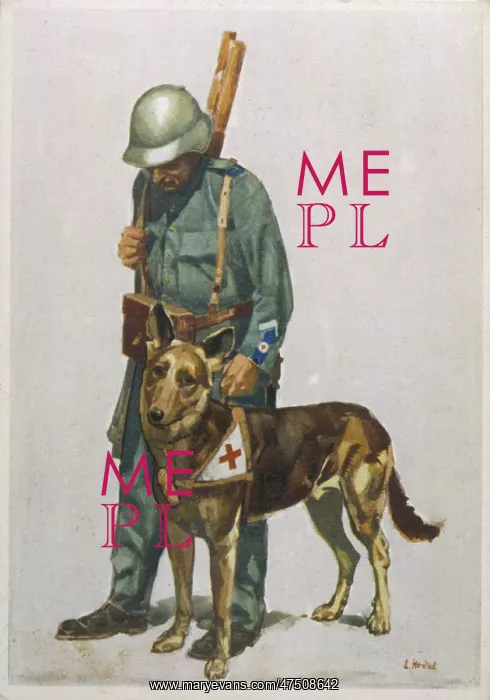  : RED CROSS DOG AND MAN
