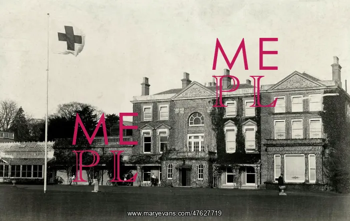 : Red Cross flag flying in front of Quex House : Red Cross flag flying in front of Quex House